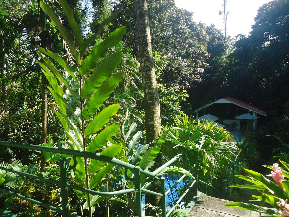 Hotel Mandarina Quepos Exterior photo